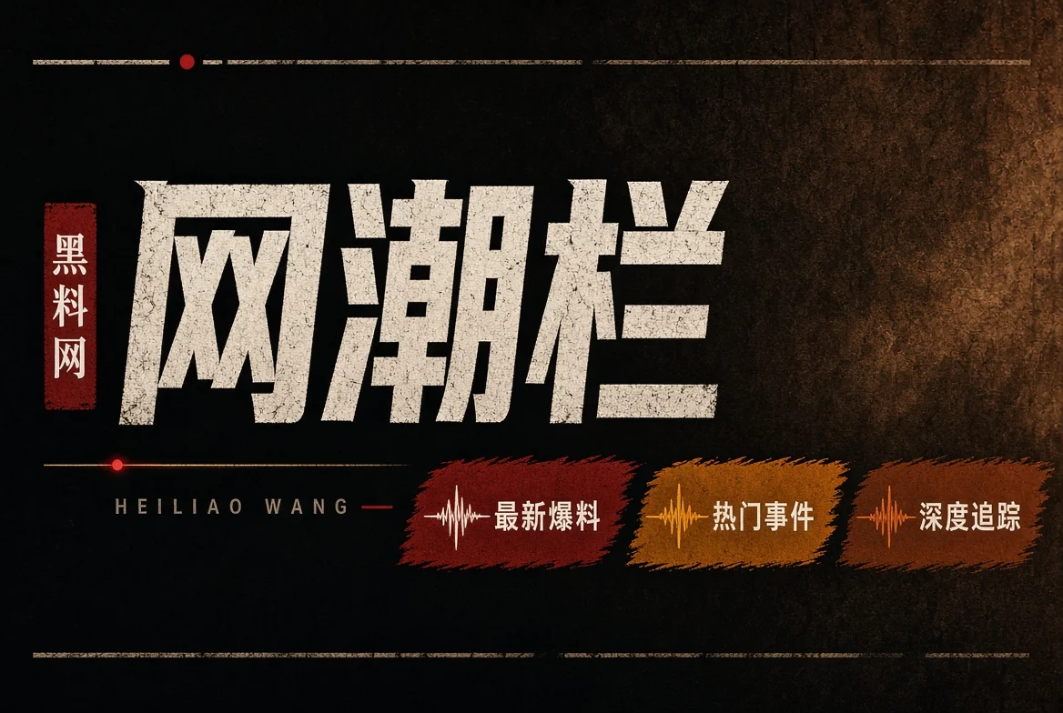 网浪栏公开内容编辑插图